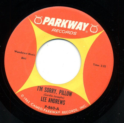 Lee Andrews : I'm Sorry, Pillow (7")