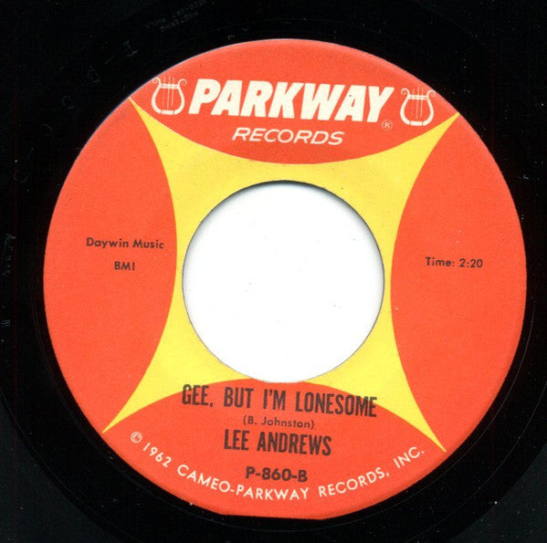 Lee Andrews : I'm Sorry, Pillow (7")