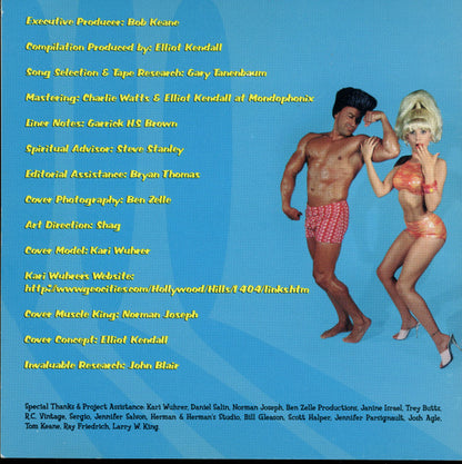 Various : Del-Fi Beach Party! (CD, Comp)