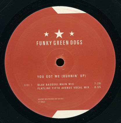 Funky Green Dogs : You Got Me (Burnin' Up) (12")