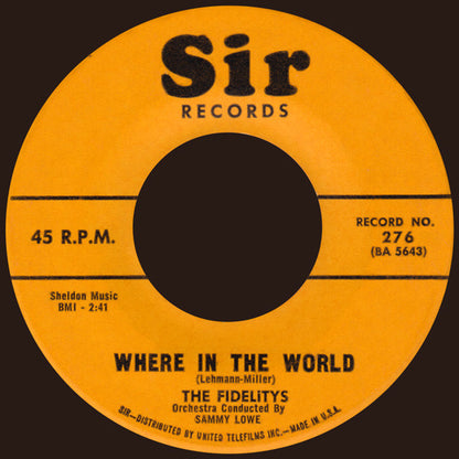The Fidelity's : (Oh What A Girl) This Girl Of Mine (7", Single)