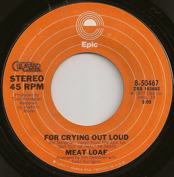 Meat Loaf : You Took The Words Right Out Of My Mouth (7", Single, Styrene)