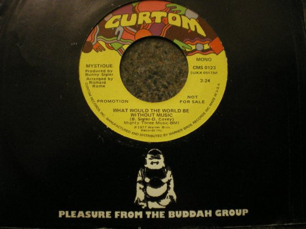 Mystique (10) : What Would The World Be Without Music  (7", Single, Promo)