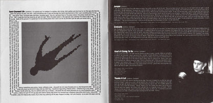 Third Eye Blind : Third Eye Blind (CD, Album, Oly)