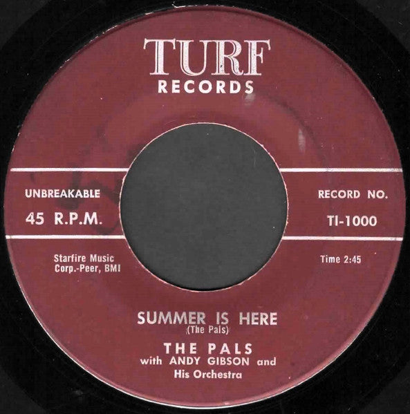 The Pals With Andy Gibson And His Orchestra : Summer Is Here / My Baby Likes To Rock (7", Single)