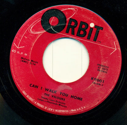 The Velours : Remember / Can I Walk You Home (7", Single)