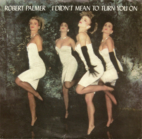 Robert Palmer : I Didn't Mean To Turn You On (7", Single, SP )