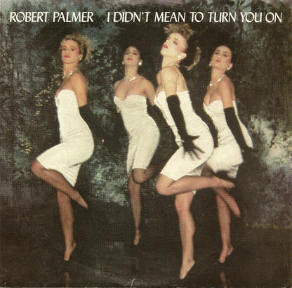 Robert Palmer : I Didn't Mean To Turn You On (7", Single, SP )
