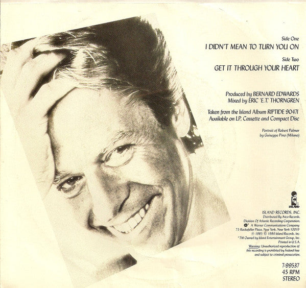 Robert Palmer : I Didn't Mean To Turn You On (7", Single, SP )