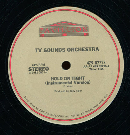 Fantasy (2) : Hold On Tight (12")