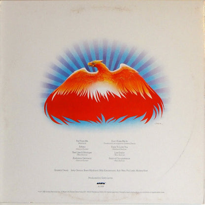The Grateful Dead : Go To Heaven (LP, Album, Ter)