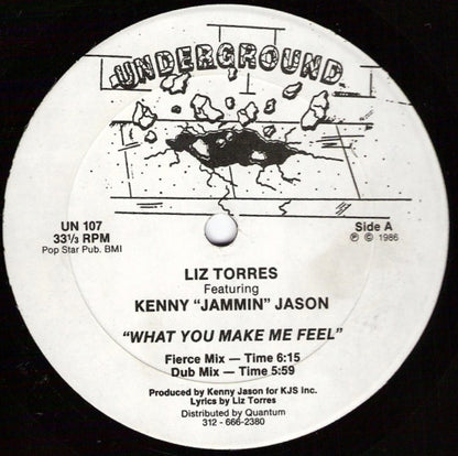 Liz Torres Featuring Kenny "Jammin" Jason : What You Make Me Feel (12")
