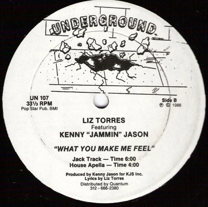 Liz Torres Featuring Kenny "Jammin" Jason : What You Make Me Feel (12")
