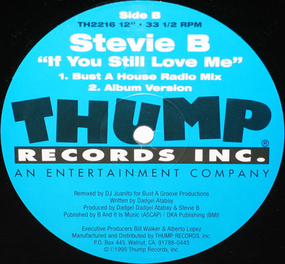 Stevie B : If You Still Love Me (12")