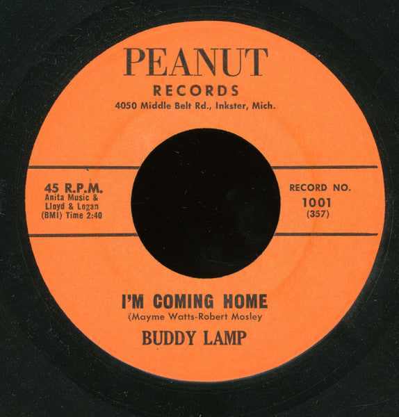 Buddy Lamp : Have Mercy Baby / I'm Coming Home (7", Single)