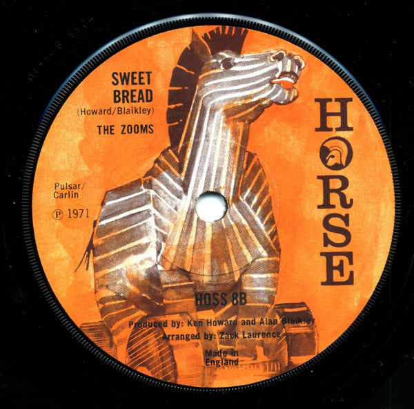 The Zooms : Skinny Dippin' (7", Sol)