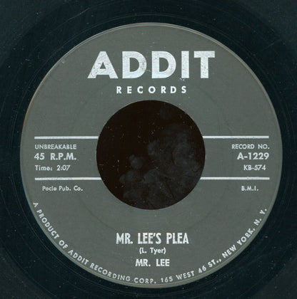 Mr. Lee (13) : Mr. Lee's Plea (7")