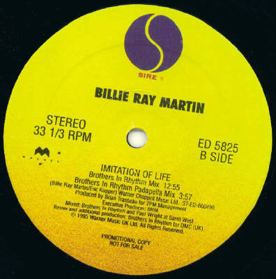 Billie Ray Martin : Imitation Of Life (12", Promo)