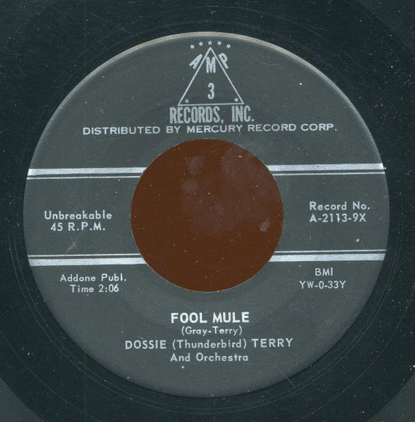 Dossie Terry : Skinny Ginny / Fool Mule (7", Single)
