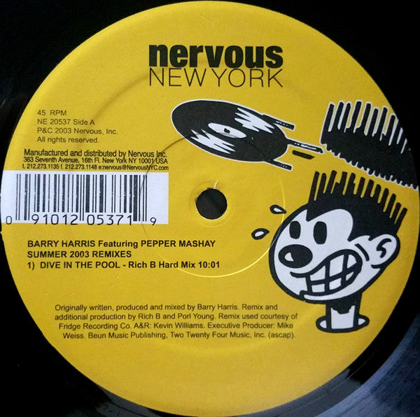 Barry Harris : Dive In The Pool (Summer 2003 Remixes) (12")