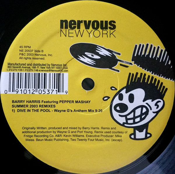 Barry Harris : Dive In The Pool (Summer 2003 Remixes) (12")