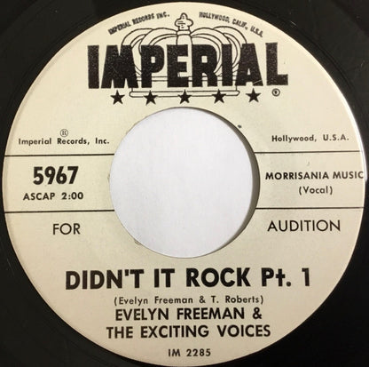Evelyn Freeman And The Exciting Voices : Didn't It Rock Pt. 1 / Didn't It Rock Pt. 2 (7", Single, Promo)