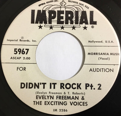 Evelyn Freeman And The Exciting Voices : Didn't It Rock Pt. 1 / Didn't It Rock Pt. 2 (7", Single, Promo)