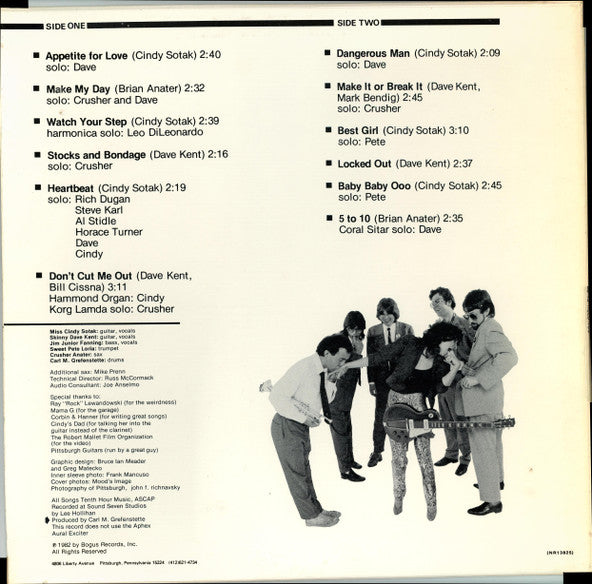 The Flashcats : Twelve Arms To Hold You (LP, Album)