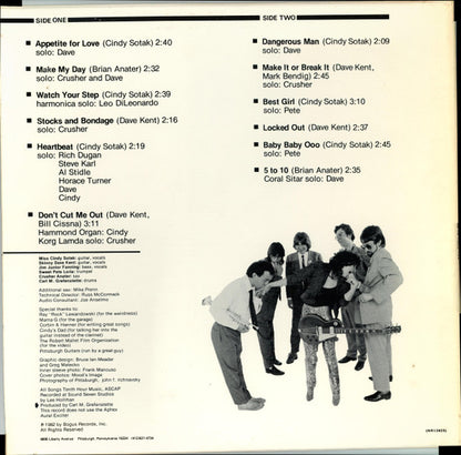 The Flashcats : Twelve Arms To Hold You (LP, Album)
