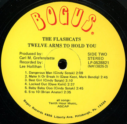 The Flashcats : Twelve Arms To Hold You (LP, Album)
