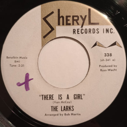 The Larks (5) : There Is A Girl / Let's Drink A Toast (7")
