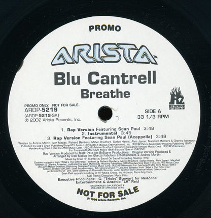 Blu Cantrell : Breathe (12", Single, Promo)