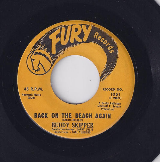 Buddy Skipper (2) : Back On The Beach Again (7")