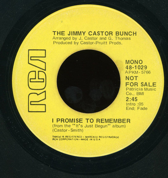 The Jimmy Castor Bunch : Troglodyte (Cave Man) / I Promise To Remember (7", Mono, Promo)