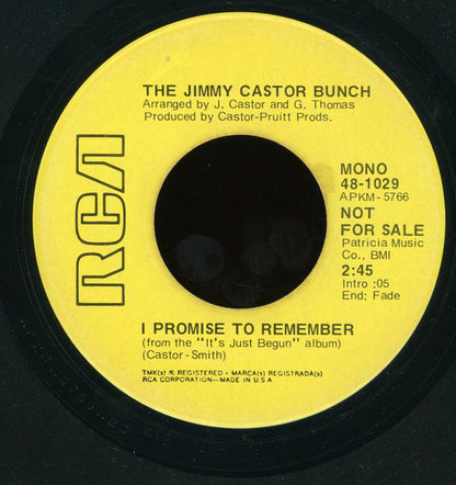 The Jimmy Castor Bunch : Troglodyte (Cave Man) / I Promise To Remember (7", Mono, Promo)