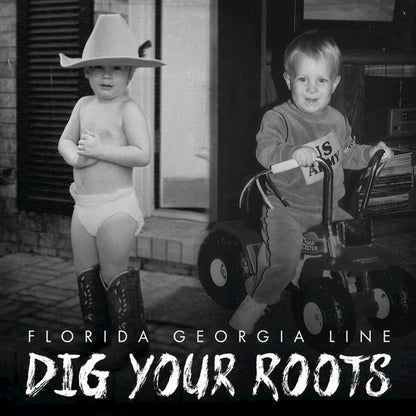Florida Georgia Line : Dig Your Roots (CD, Album)