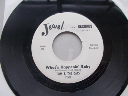 Tom And The Cats : The Wine Song  (7")