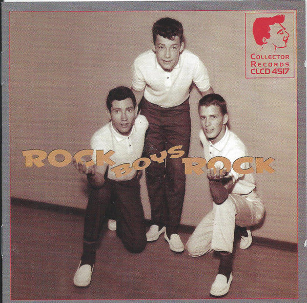 Various : Rock Boys Rock (CD, Comp)