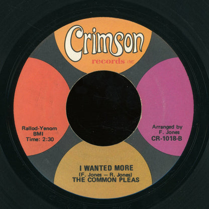The Common Pleas : Funky Judge (7")
