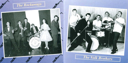 Various : Strictly Instrumental Vol. 1 (CD, Comp)