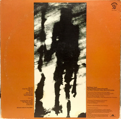 Tony Banks : A Curious Feeling (LP, Album, 56 )