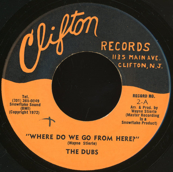 The Dubs : Where Do We Go From Here? (7")