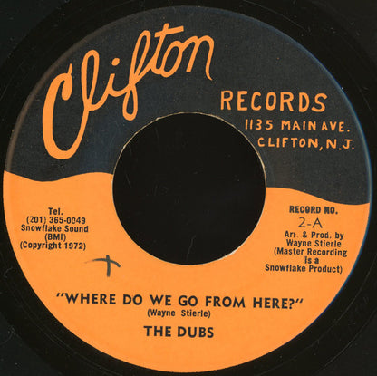 The Dubs : Where Do We Go From Here? (7")