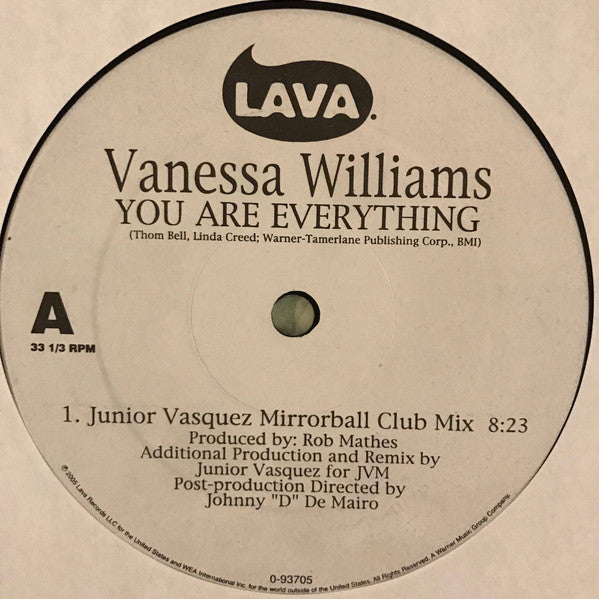 Vanessa Williams : You Are Everything (12", Maxi)