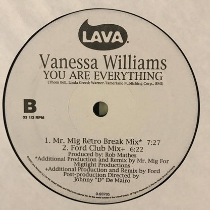 Vanessa Williams : You Are Everything (12", Maxi)
