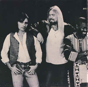 The Allman Brothers Band : Enlightened Rogues (LP, Album, M/Print, Gat)