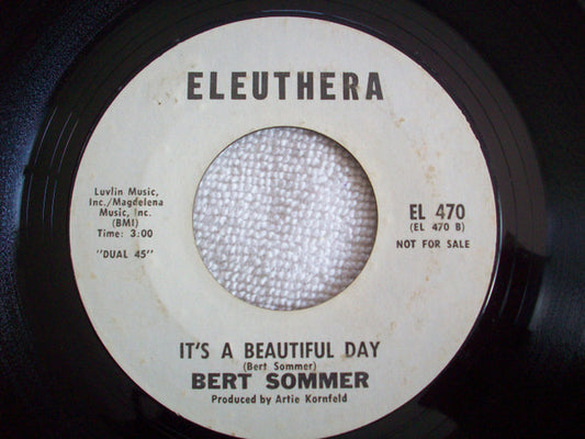 Bert Sommer : We're All Playing In The Same Band / It's A Beautiful Day (7", Promo)