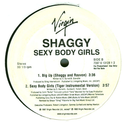 Shaggy : Sexy Body Girls (12", Promo)